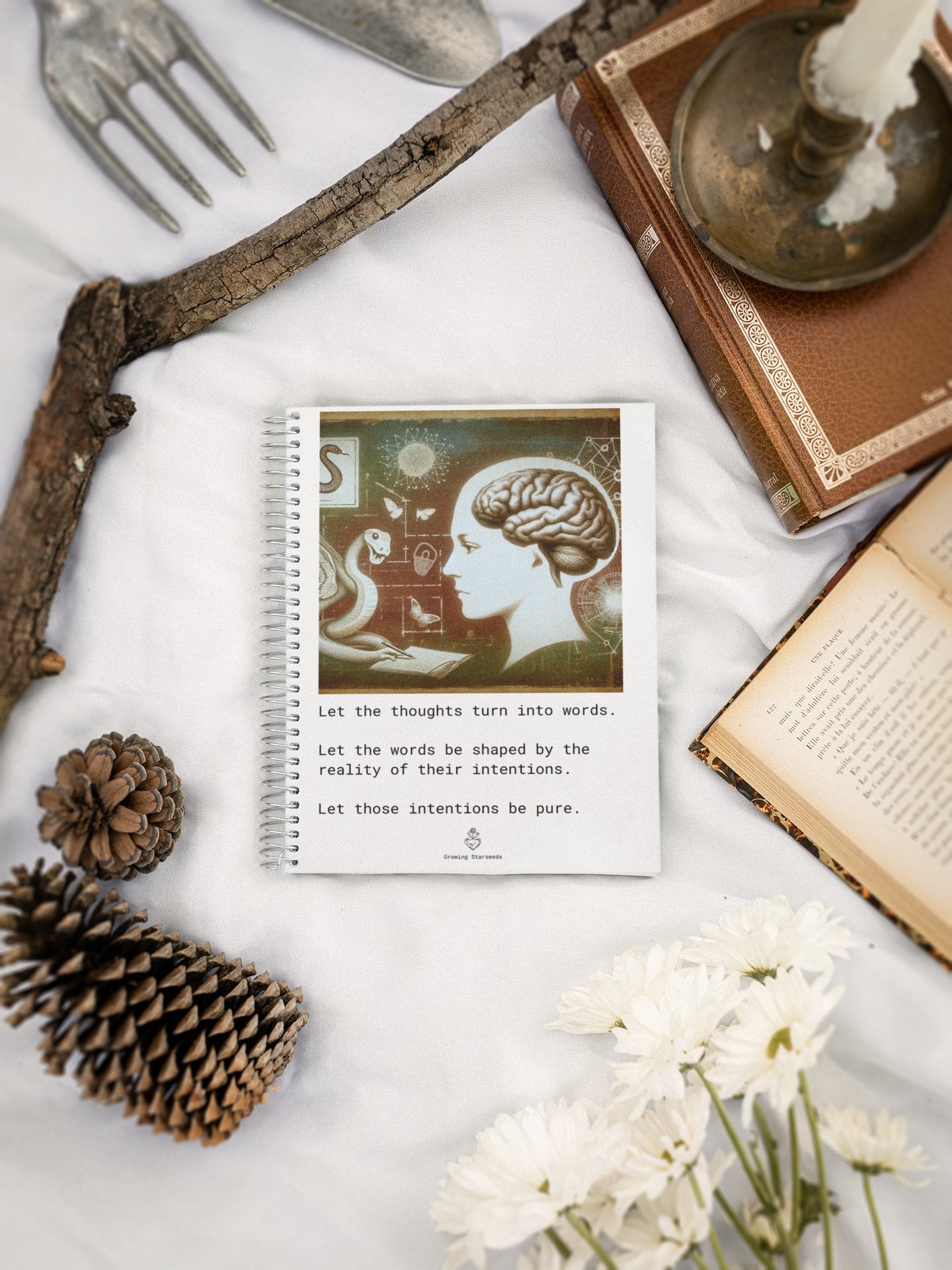 𝙲𝚘𝚕𝚕𝚎𝚌𝚝𝚒𝚘𝚗 𝟶: ’...𝚝𝚑𝚎 𝚏𝚛𝚞𝚒𝚝 𝚏𝚛𝚘𝚖 𝚝𝚑𝚎 𝚝𝚛𝚎𝚎 𝚒𝚗 𝚝𝚑𝚎 𝚖𝚒𝚍𝚍𝚕𝚎 𝚘𝚏 𝚝𝚑𝚎 𝚐𝚊𝚛𝚍𝚎𝚗...’